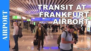 TRANSIT WALK AT FRANKFURT Airport FRA Terminal 1  Connection Flight Transfer Arriving amp Departing [upl. by Rollie]